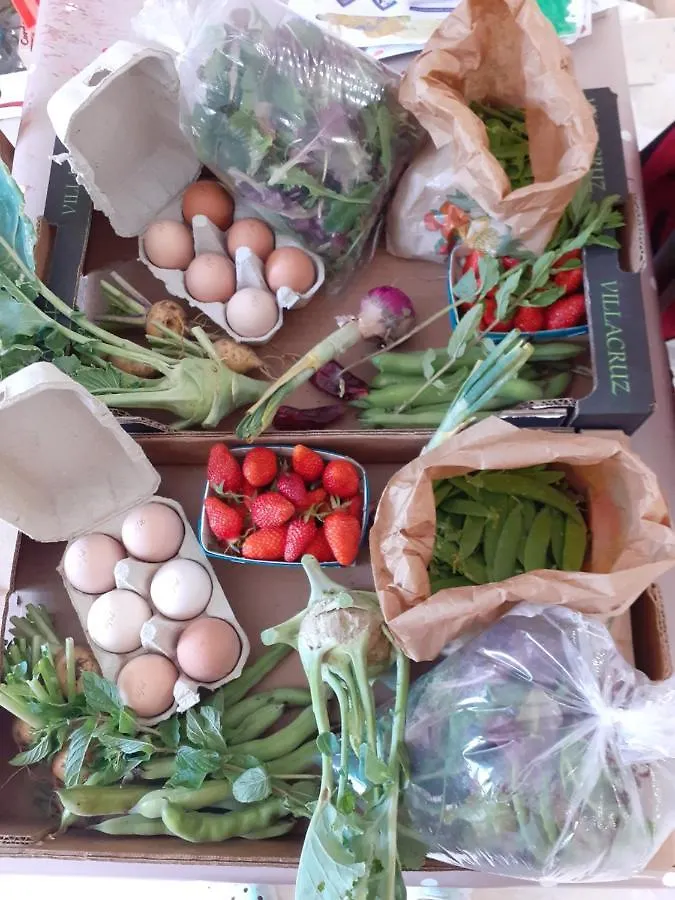 Gite A La Ferme A Orpierre Francie