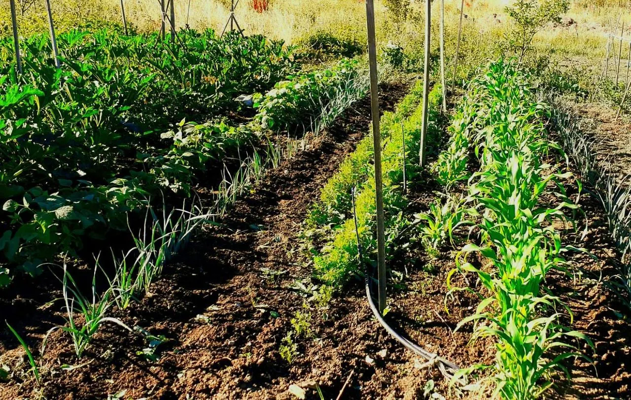 Gite A La Ferme A Orpierre Prázdninový dům