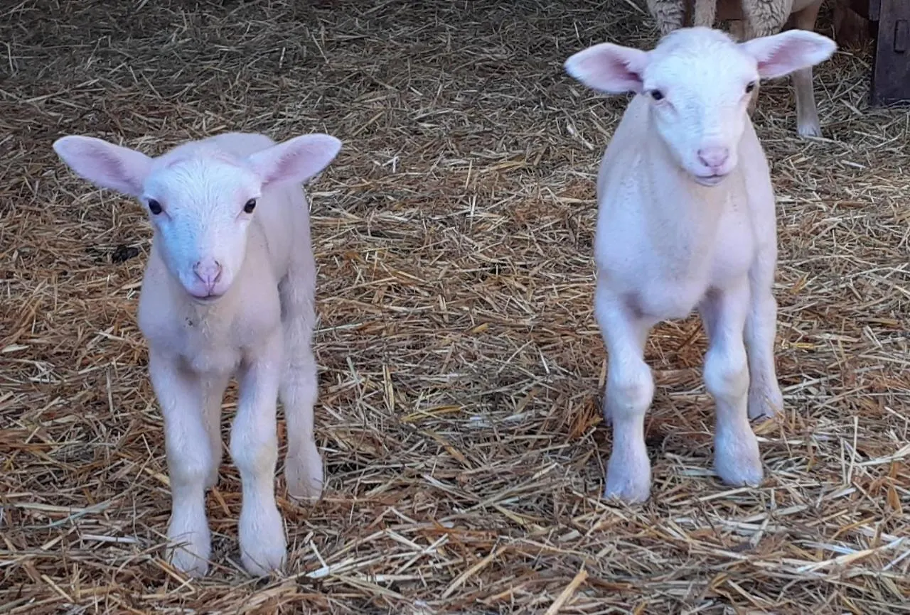 Gite A La Ferme A Orpierre Prázdninový dům